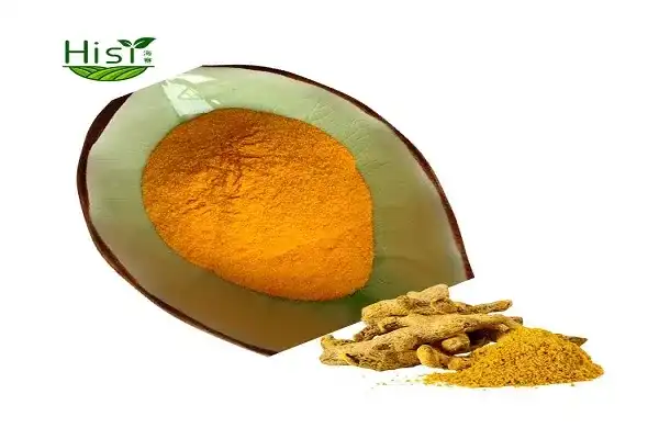 Why Switch to Water-Soluble Curcumin Powder for Real Results?